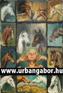 Horses portraits