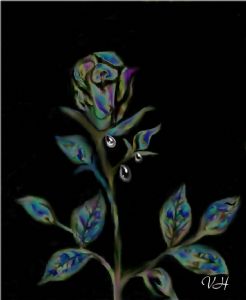 Abstract Kaleidoscope Color Rose