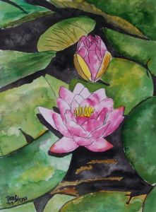 Water lily flower painting