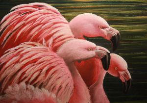 C.,Michelle-Tres Flamingos