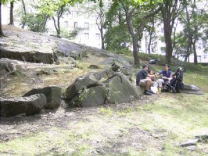 Picnic in Central Park