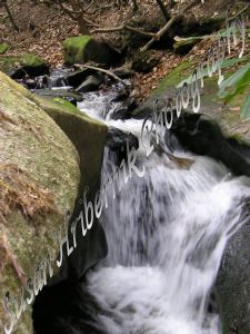hribernik,susan-Rushing Waterfall