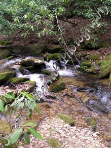 hribernik,susan-Small Forest Waterfall