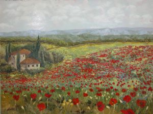 Umbria Poppy field