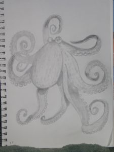 Elliott,Bernie-Octopus sketch