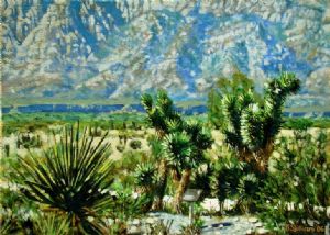 Joshua Trees