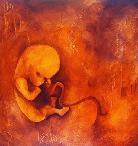 fetal mater