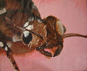 Gauthier,Alana-Ant Close-Up