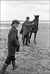 Tuach,Rod-Horse Race on Beach. Mayo, Ireland.