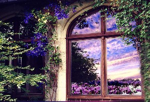 GARDEN IN THE WINDOW-BEAUTIFUL PHOTOGRAPH