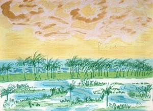 Araripe,Oscar-Coco field at Trancoso beach