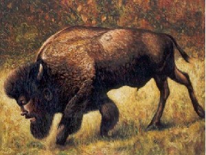 American bison with selfportrait
