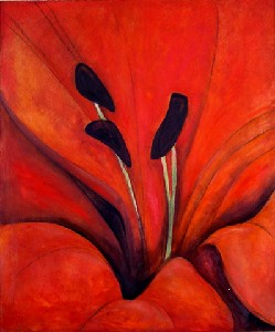Orange Lily II