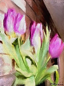 Mansco,Elizabeth-Tulipanes