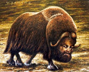 Musk ox  with selfportrait