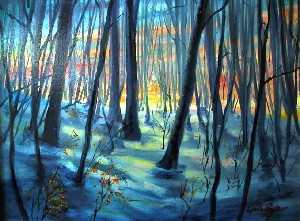winter sunset in woods