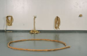 Intestines Installation View