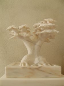 Valerio,Cesar-bonsai