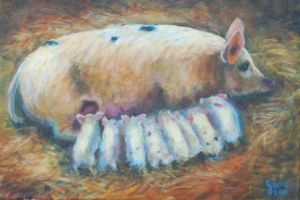 Pigs with babies