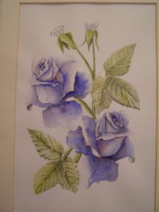 blue blue roses