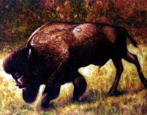 American bison with selfportrait