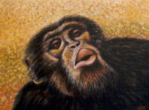 Chimpanzee portrait (5)