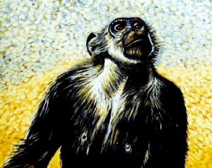 Chimpanzee portrait (3)