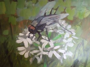 fly on a white flower