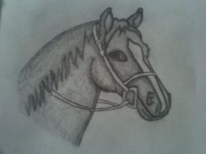 Hensley,Lori-Horse