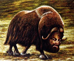 Musk ox  with selfportrait