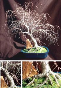 Hickory in Blue Base - Wire Tree Sculpture, by Sal Villano