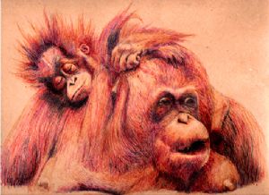 Orangutan Mom