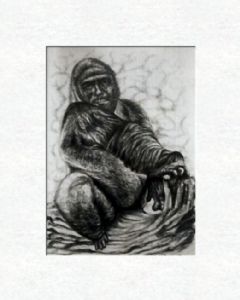 Gorilla with selfportrait