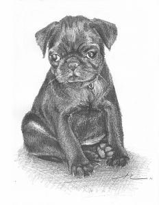 Mike Theuer portraits