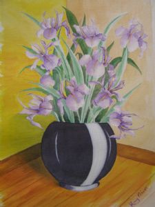 black pot irises