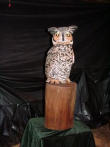 Elsebusch,John-Cute Owl