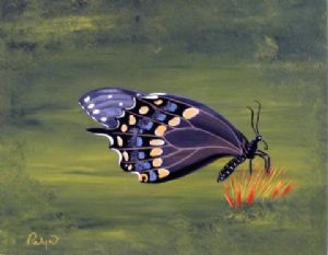 Beaulieu,Palyn-C est un Papillon