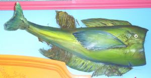 Green Fish