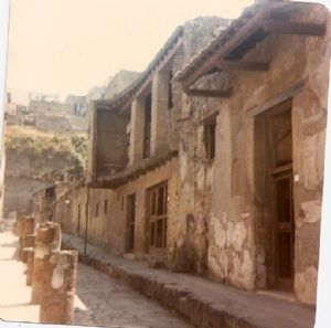 Herculaneum Ashes of Ruins from Mt. Vesuvius Italy  by Susan Gurga