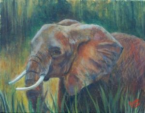 Baker,Jana-Elephant in the Wild