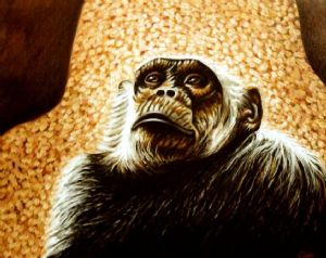 Chimpanzee portrait (1)