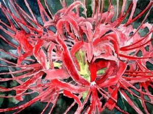 spider lily red flower painting