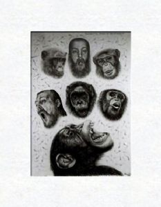 Chimpanzees with selfportraits