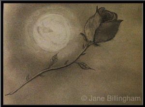 Billingham,Jane-Moon&Rose