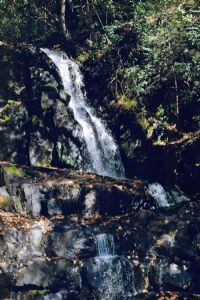 Perry,Greg-Waterfall