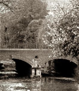 The Urban Environment no. 0024