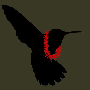 bezembinder,eduard-kolibri