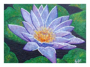 Lilac Waterlily