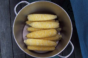 Corn on the Cobb