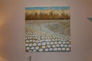 hampton,raina-cotton field